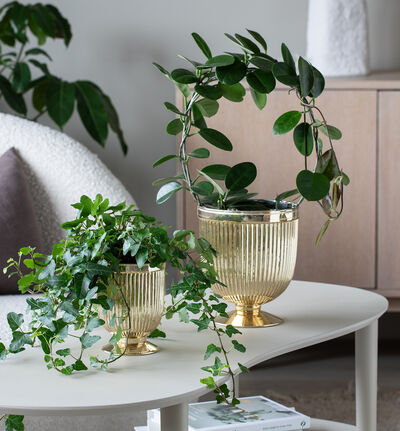 Glam pokalpotte gull 19 cm Glam pokalpotte gull 19 cm